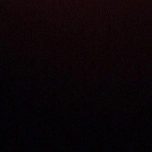 Meet your Posher, Cheyenne